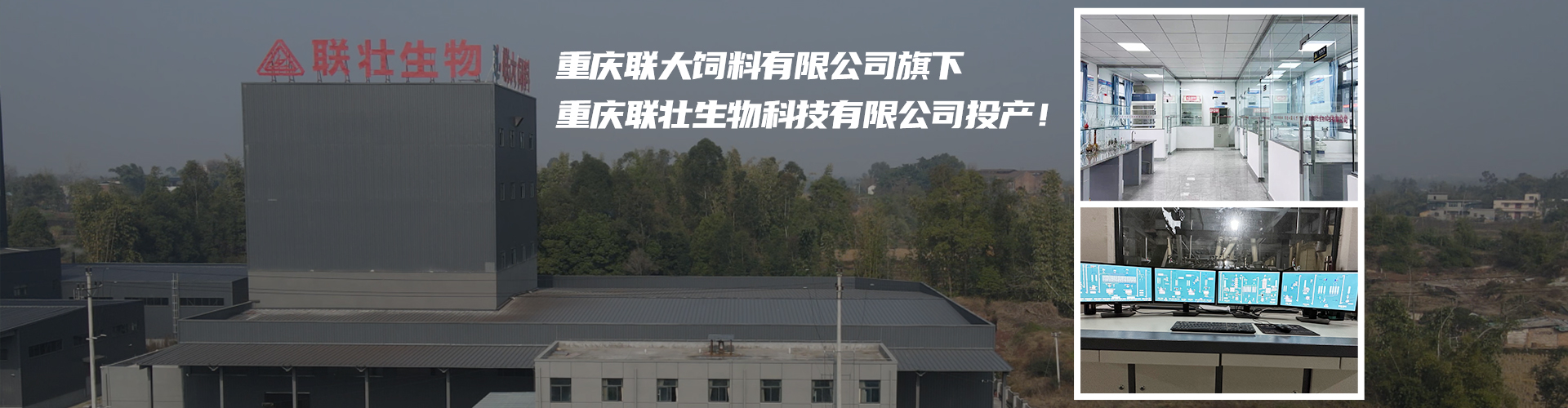 PC端幻燈二