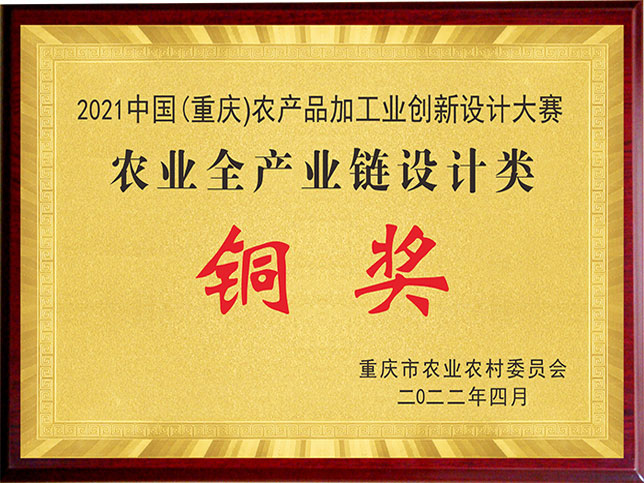 農(nóng)業(yè)全產(chǎn)業(yè)鏈設(shè)計(jì)類(lèi)銅獎(jiǎng)