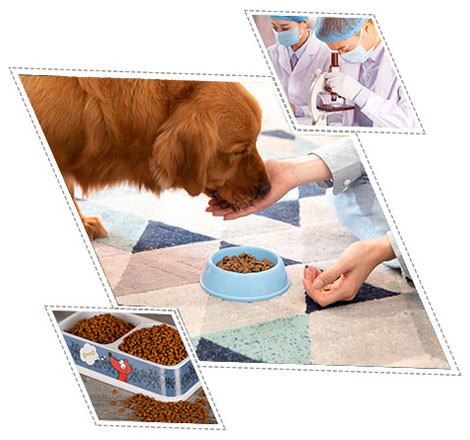 健康：動(dòng)物飼料，呵護(hù)動(dòng)物健康!