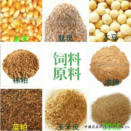 2024年5月17日國(guó)內(nèi)飼料原料與養(yǎng)殖行情匯總